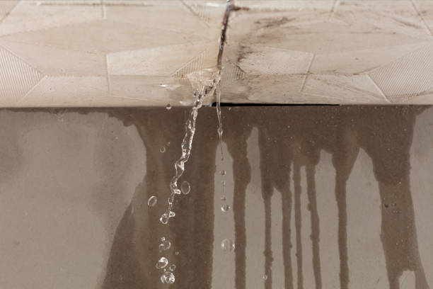 Professional Burst Pipe Cleanup technician working in Thompsonville, MI